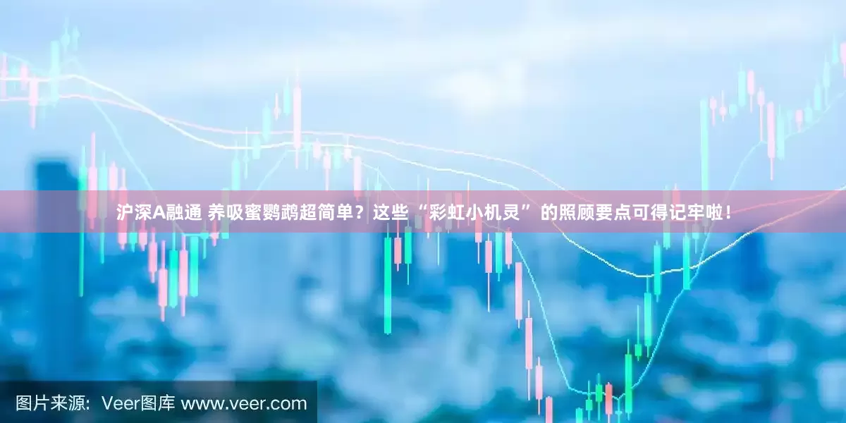 沪深A融通 养吸蜜鹦鹉超简单？这些 “彩虹小机灵” 的照顾要点可得记牢啦！