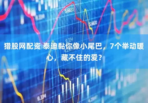 猎股网配资 泰迪黏你像小尾巴，7个举动暖心，藏不住的爱？