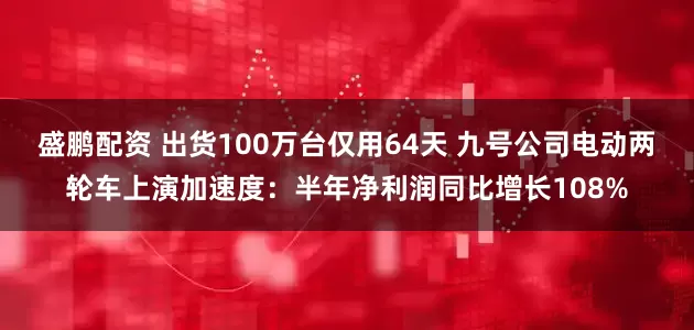 盛鹏配资 出货100万台仅用64天 九号公司电动两轮车上演加速度：半年净利润同比增长108%