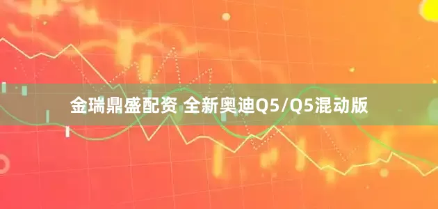 金瑞鼎盛配资 全新奥迪Q5/Q5混动版