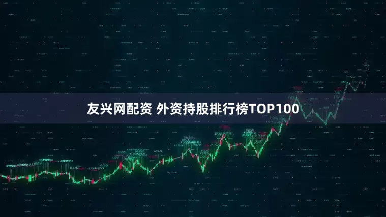 友兴网配资 外资持股排行榜TOP100