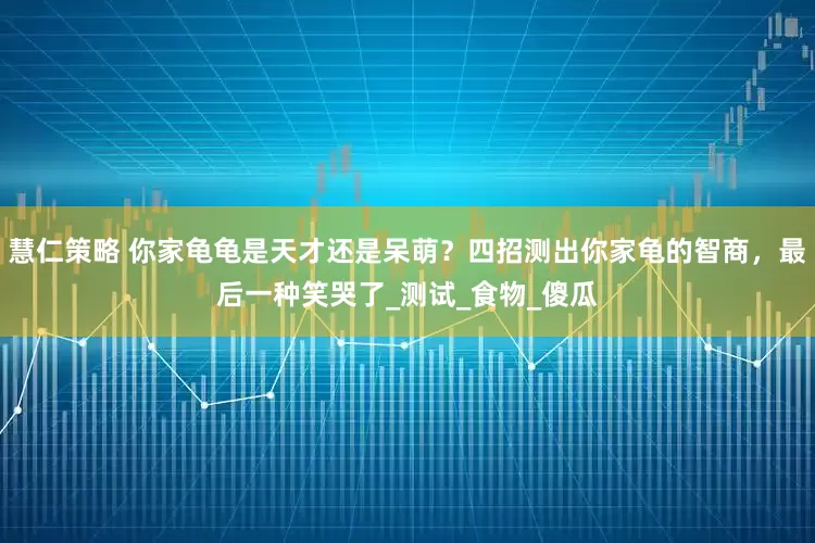 慧仁策略 你家龟龟是天才还是呆萌？四招测出你家龟的智商，最后一种笑哭了_测试_食物_傻瓜